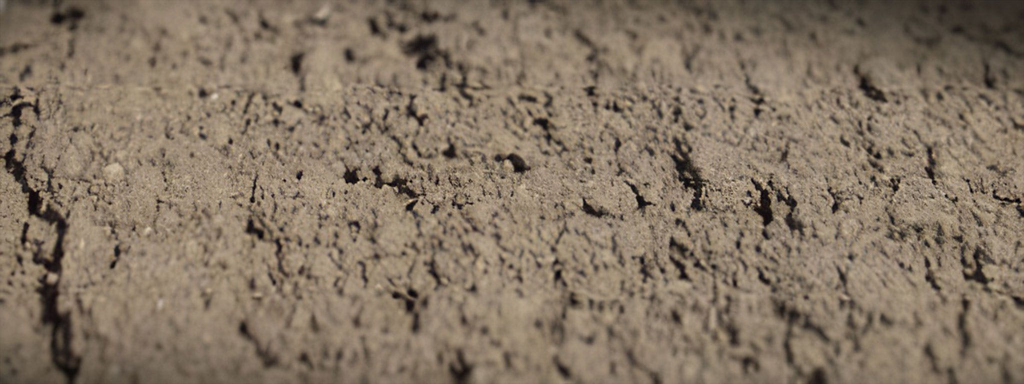 Dirt, Dust & Debris Footage