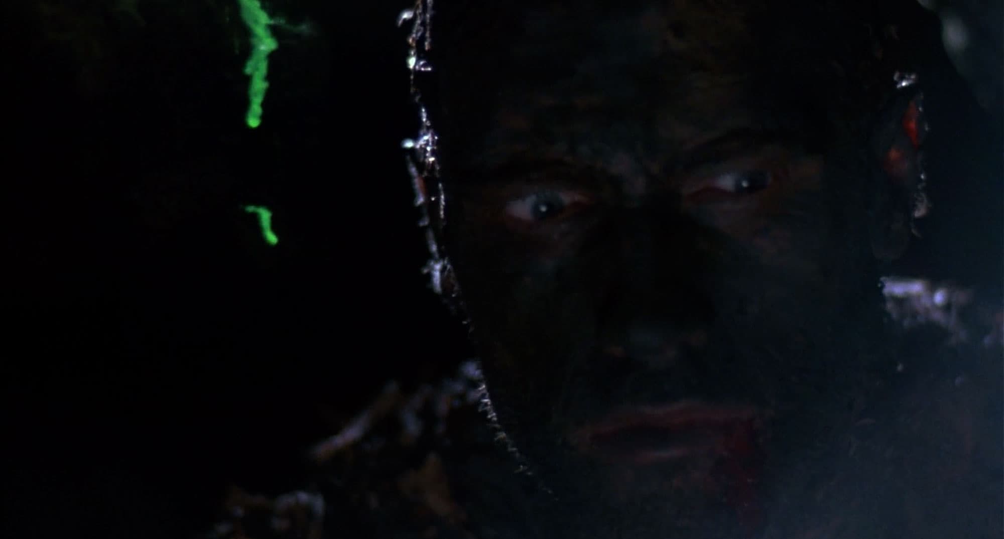 a still frame from Predator (1987) featuring drips of glowing green alien blood