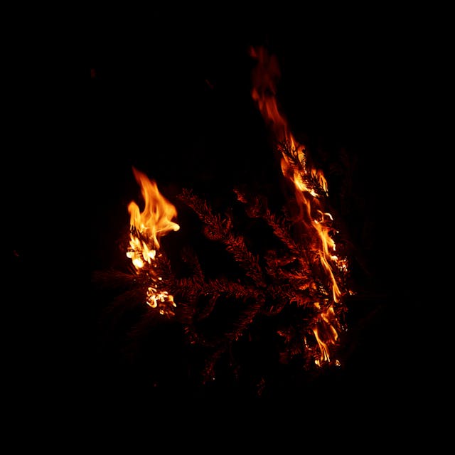 Burning Branch - 007b