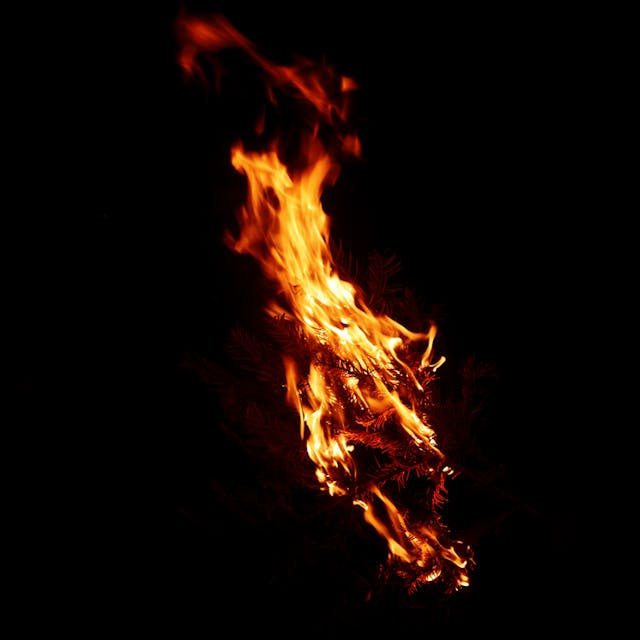 Burning Branch - 008b