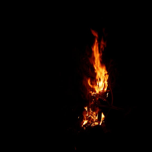 Burning Branch - 010a