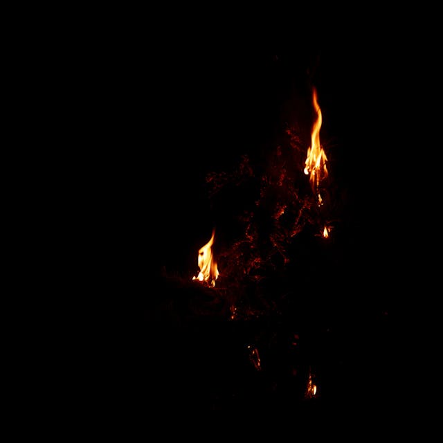 Burning Branch - 010d