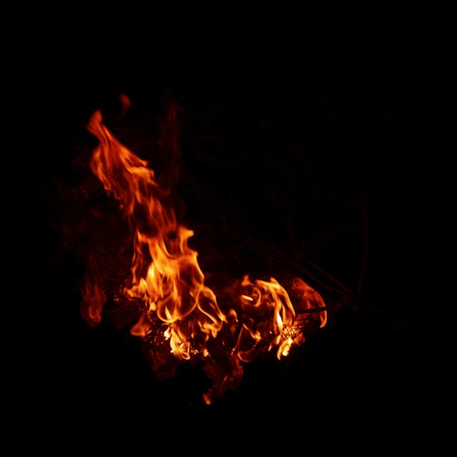 Burning Branch - 021