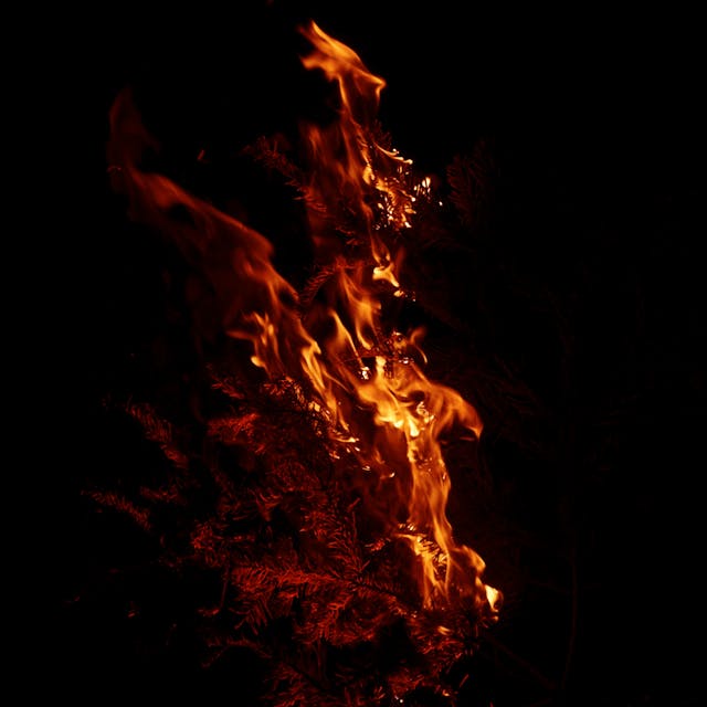 Burning Branch - 022