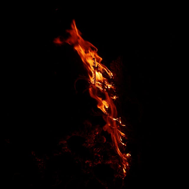 Burning Branch - 024