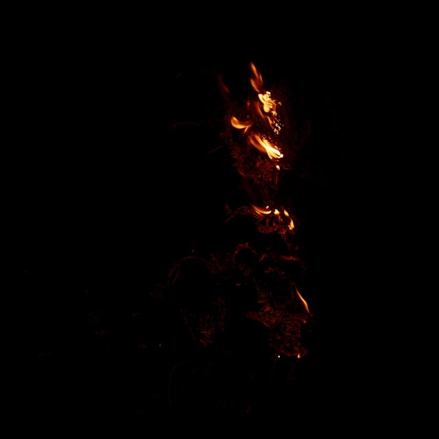 Burning Branch - 025