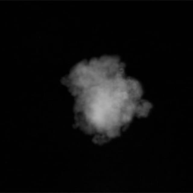 Smoke Breath - front - 007