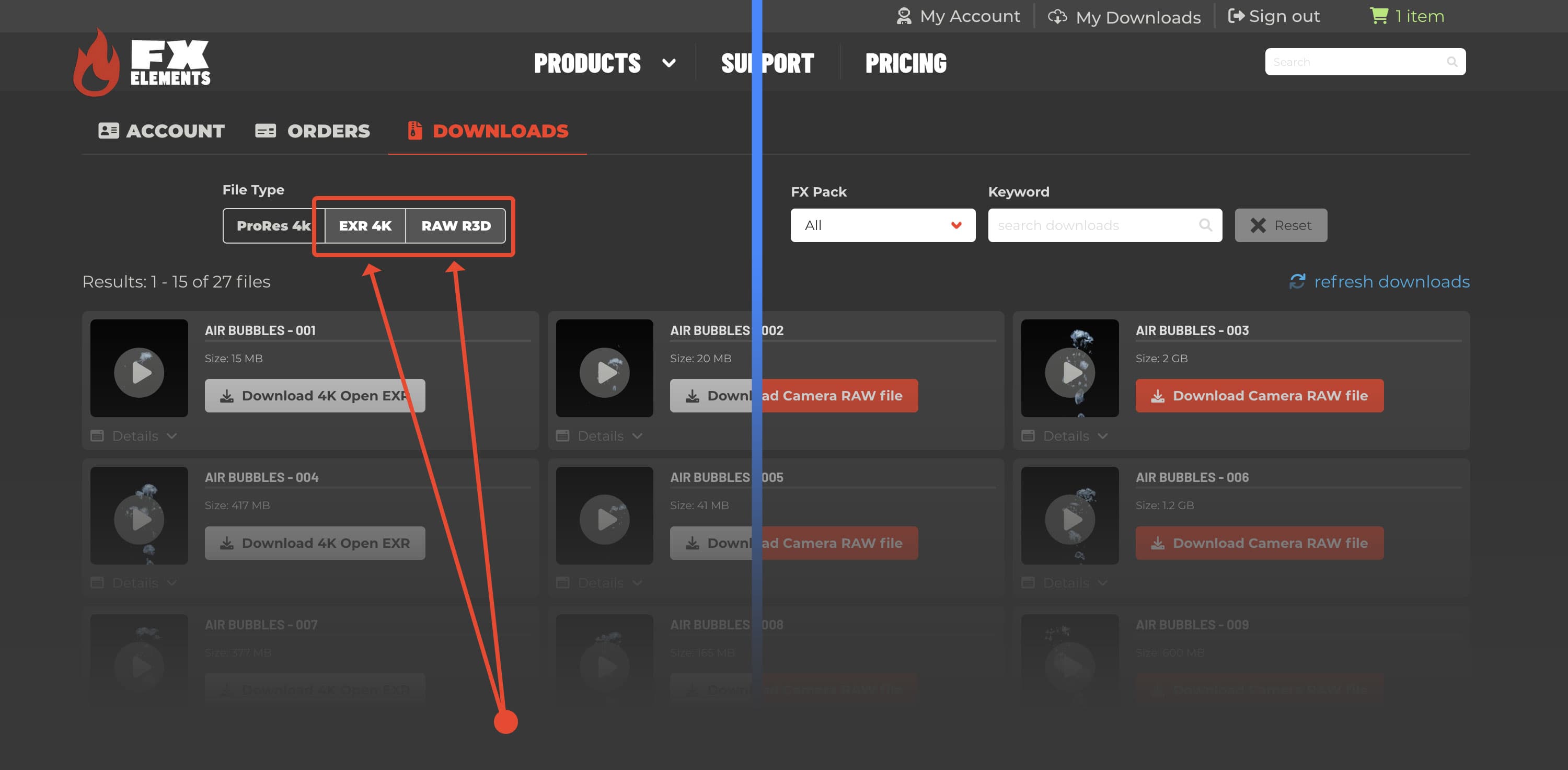 demonstation of filtering downloads by file type