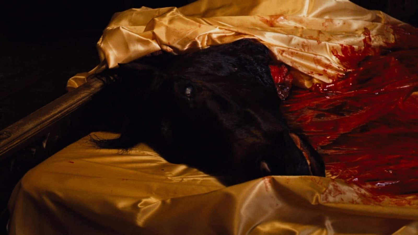 horse head laying in a pool of blood