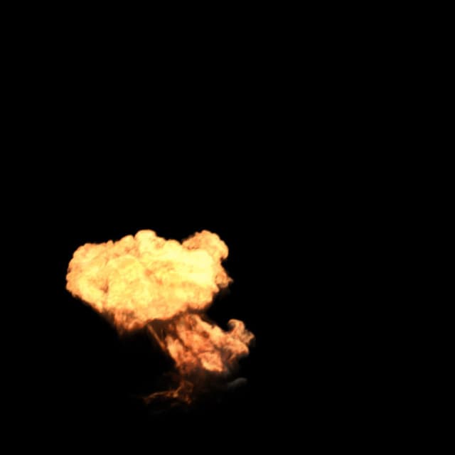 CG Gas Bomb - 005c